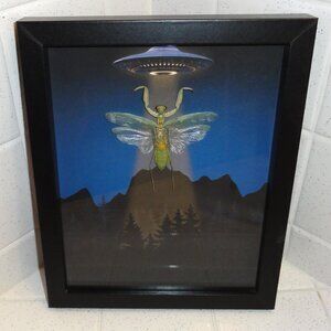 Framed Praying Mantis UFO Mountain & Trees oddity curiosity insect taxidermy
